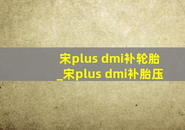 宋plus dmi补轮胎_宋plus dmi补胎压